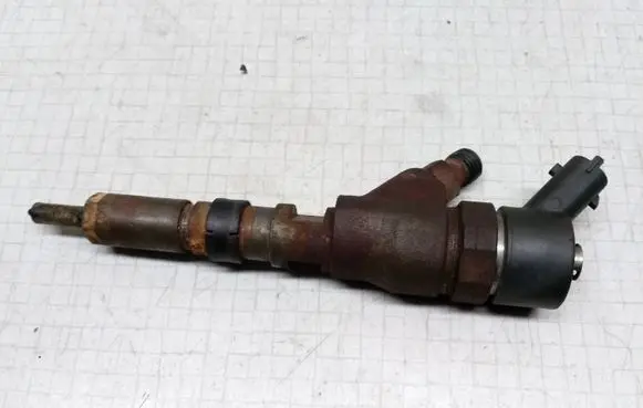 Citroen Xsara Picasso Fuel injector 9641742880