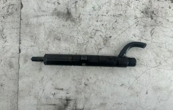 Dacia Duster Fuel injector 166000897R H8200827965 28237259
