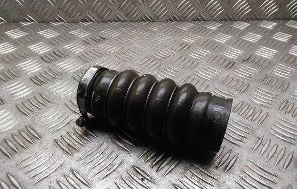 Peugeot 307 Intercooler hose/pipe 9650325480