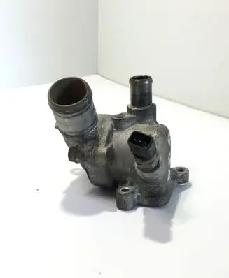 Thermostat/thermostat housing