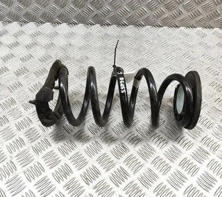 Tesla Model Y Rear coil spring 218847200C