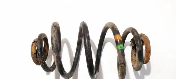 Rear coil spring