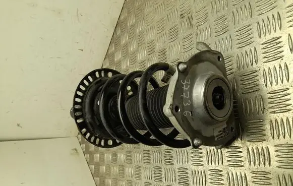 Volkswagen ID. Buzz Front shock absorber with coil spring 1N3413031AC