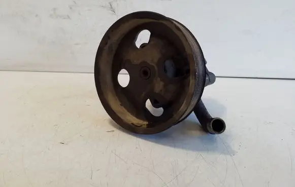 Suzuki Grand Vitara II Power steering pump 5X294114 4910067J00