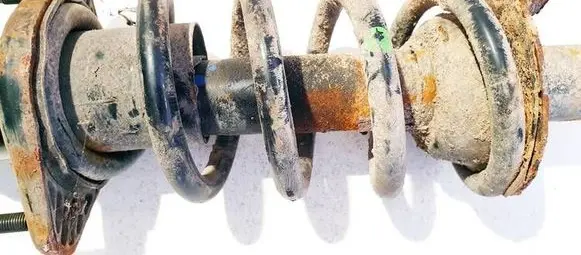 Honda CR-V Rear coil spring 