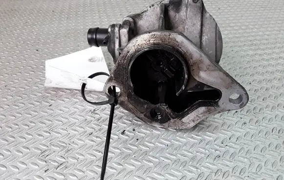 Renault Kangoo I Vacuum pump