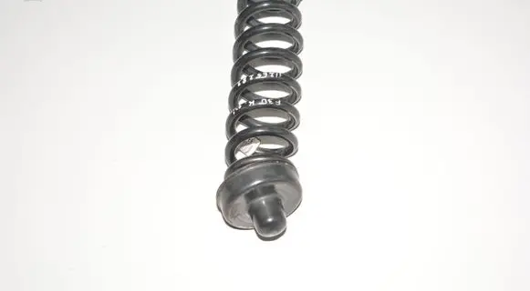 BMW 3 F30 F35 F31 Rear coil spring