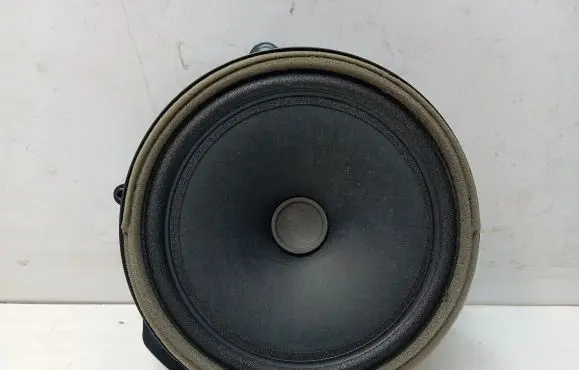 Jaguar F-Pace Front door speaker GX7318808DB