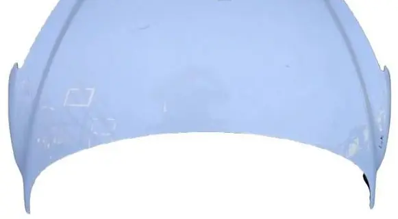 Engine bonnet/hood