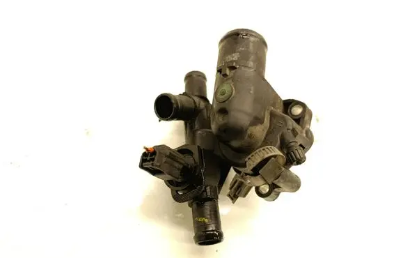 Thermostat/thermostat housing