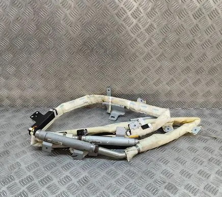 KIA Carnival Roof airbag 850104D500