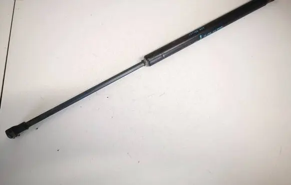 Tailgate/trunk strut/damper