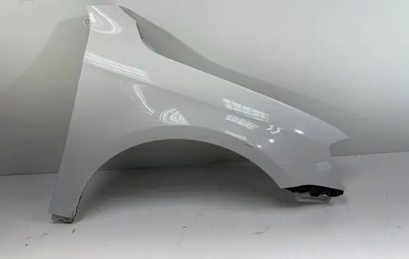 Volkswagen PASSAT B7 Fender 