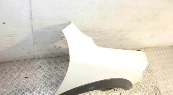 Skoda Octavia Mk2 (1Z) Fender