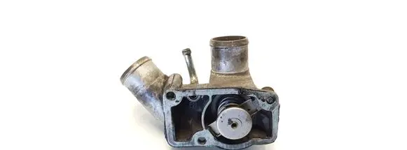 Thermostat/thermostat housing