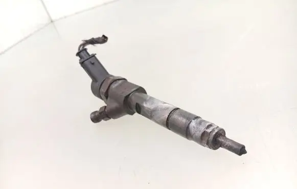 Renault Espace - Grand espace IV Fuel injector 8200100272