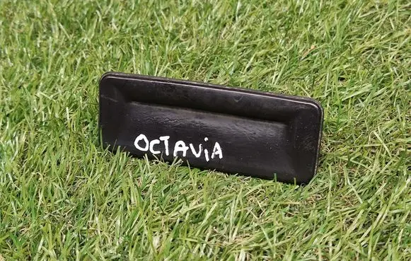 Skoda Octavia Mk2 (1Z) Tailgate/trunk/boot exterior handle 1Z0827574C