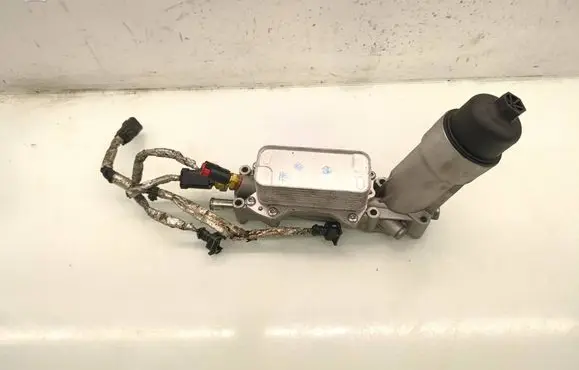 Dodge Grand Caravan Oil filter mounting bracket 