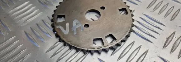 Peugeot Boxer Timing chain sprocket 