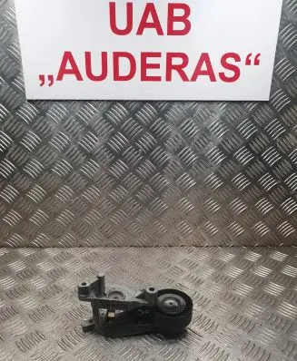 Volkswagen Touran I Alternator belt tensioner 1023674