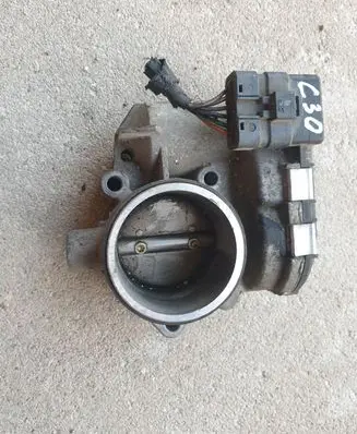 Citroen C3 Throttle valve 0280750085