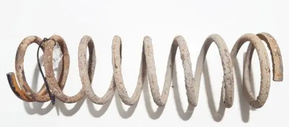Ford Focus Rear coil spring