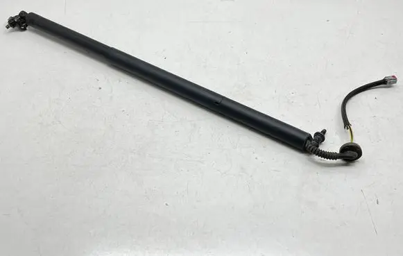 Chrysler Pacifica Tailgate/trunk strut/damper 68455759AA