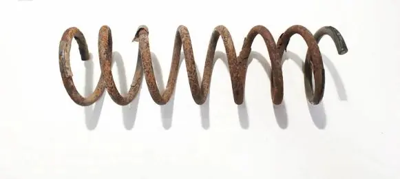 Ford Focus Rear coil spring