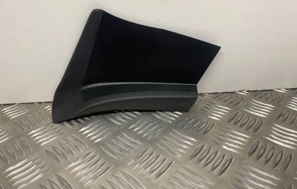 Rear/tail light trim molding