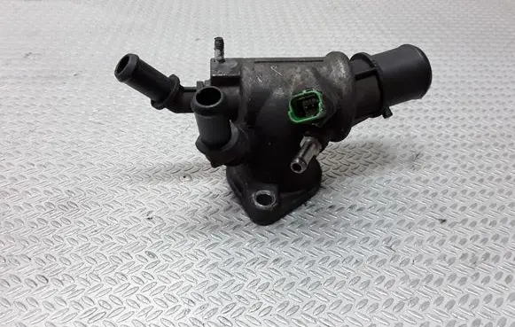 Thermostat/thermostat housing