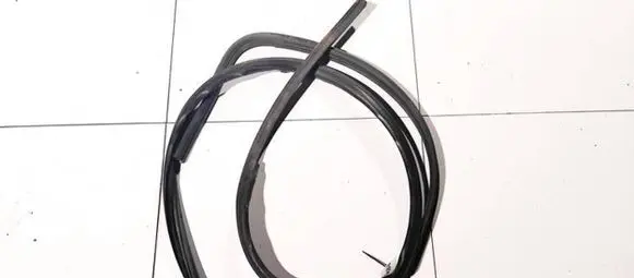 Chrysler Grand Voyager IV Rubber seal rear door 