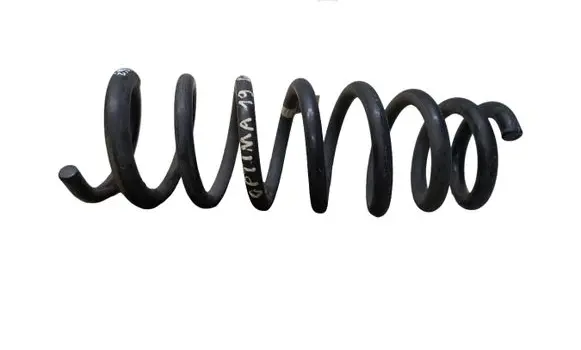 Rear coil spring
