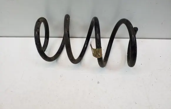 Front coil spring