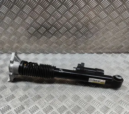 Rear shock absorber/damper
