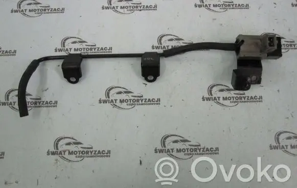 KIA Carnival Vacuum valve 