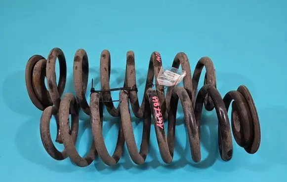 Rear coil spring
