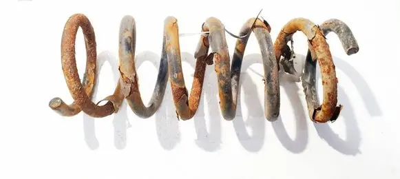 Rear coil spring