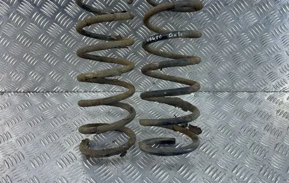 Rear coil spring