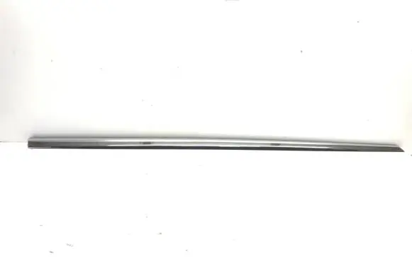 Mercedes-Benz EQE v295 Front door trim (molding) A2956901301