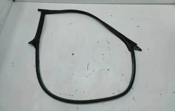 Tesla Model 3 Front door rubber seal