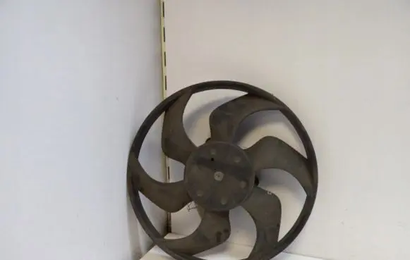 Renault Clio III Fan impeller 060110177
