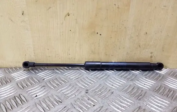 Front bonnet/hood damper/strut