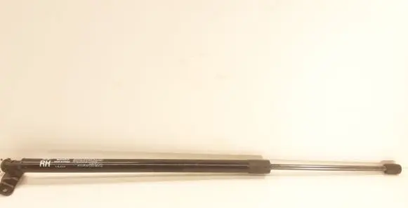 Tailgate/trunk strut/damper