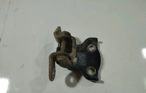 Chevrolet Captiva Rear door lower hinge 