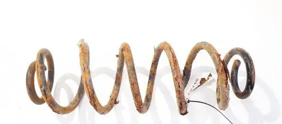 Rear coil spring