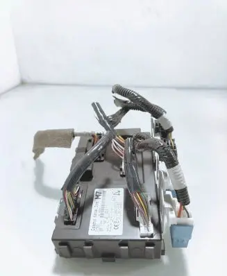 Nissan Juke I F15 Comfort/convenience module 284B1BV81C 116RAI000258 116RI000259