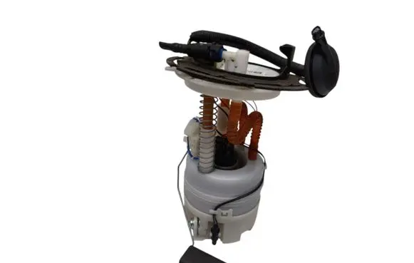 Nissan Rogue In-tank fuel pump 170406RE0A 1760A634 DM5004624