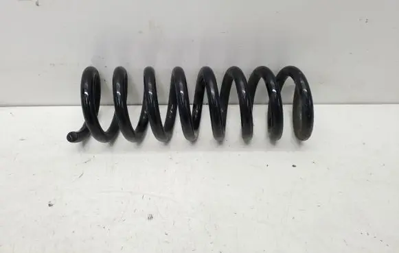 Rear coil spring