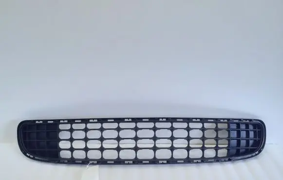 Mini Cooper Countryman R60 Front bumper lower grill 11460913