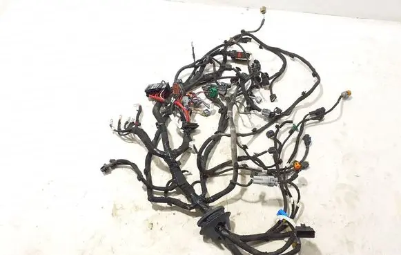 Renault Kangoo III Other wiring loom 240119961S
